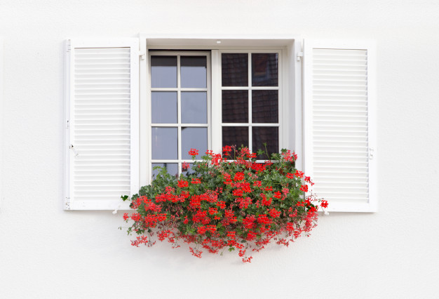 LA VENTANA DE LA IMPACIENCIA