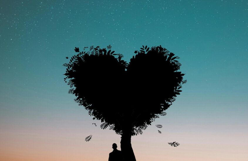 SU AMOR NO ES COMO EL MÍO